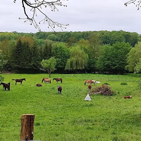 Au Coeur De La Nature Et Des Chevaux Avec Jacuzzi Sauna Prázdninový dům Kalhausen