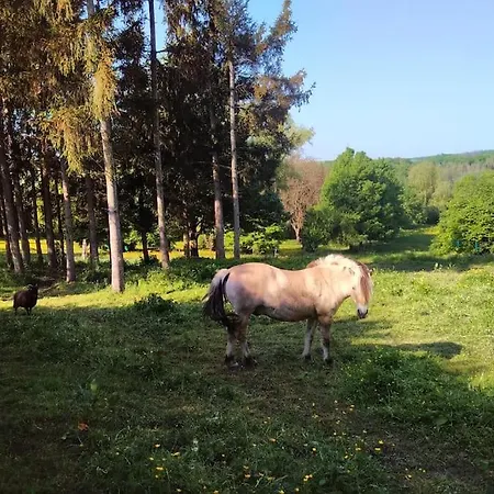 Au Coeur De La Nature Et Des Chevaux Avec Jacuzzi Sauna Prázdninový dům *