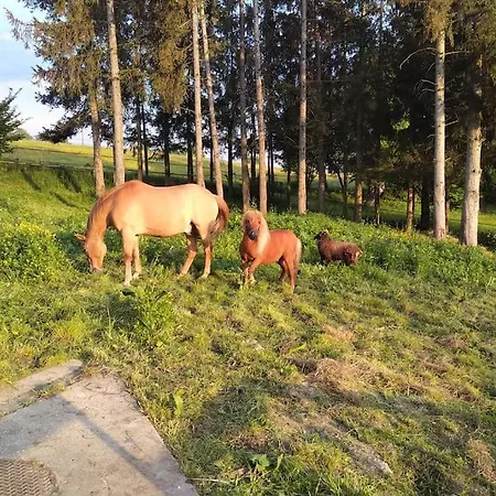 Au Coeur De La Nature Et Des Chevaux Avec Jacuzzi Sauna Prázdninový dům
